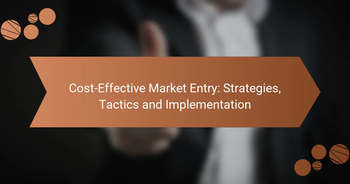 Cost-Effective Market Entry: Strategies, Tactics and Implementation