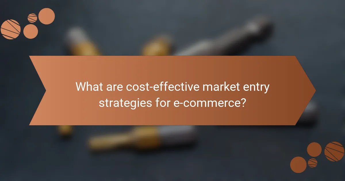 What are cost-effective market entry strategies for e-commerce?