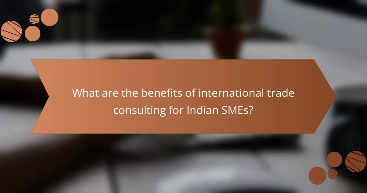 What are the benefits of international trade consulting for Indian SMEs?