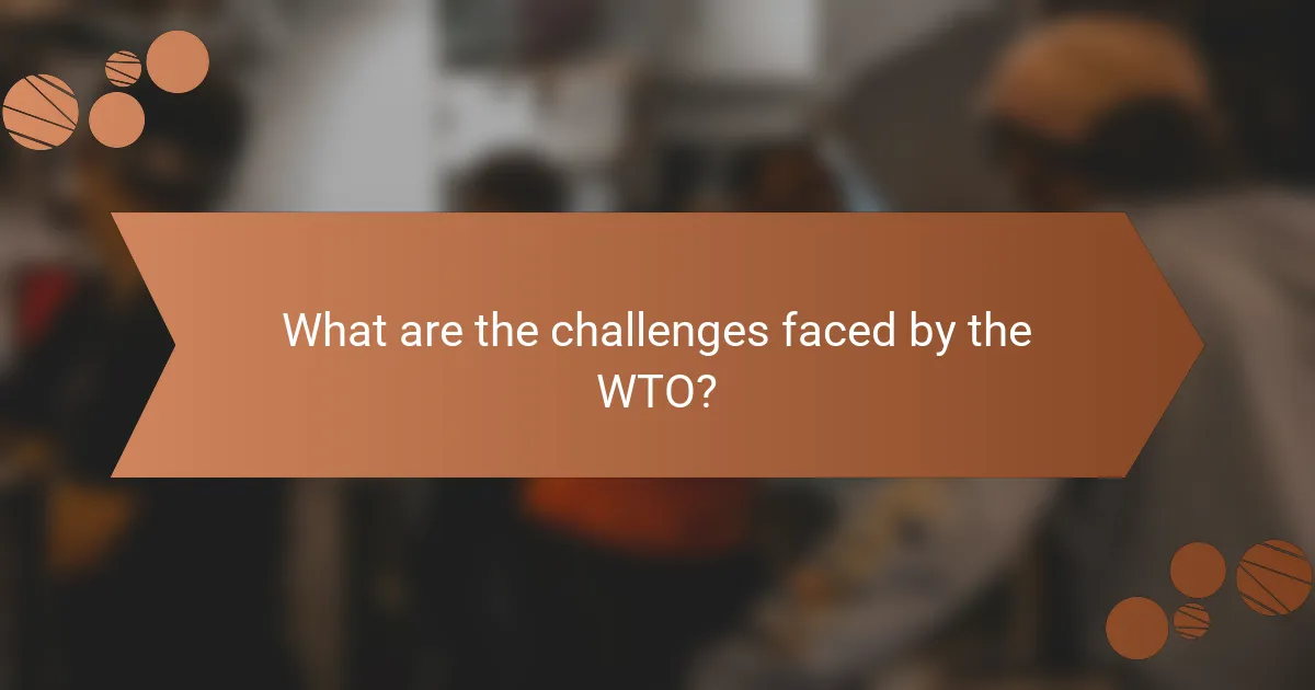 What are the challenges faced by the WTO?