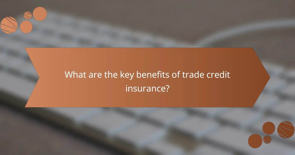 What are the key benefits of trade credit insurance?
