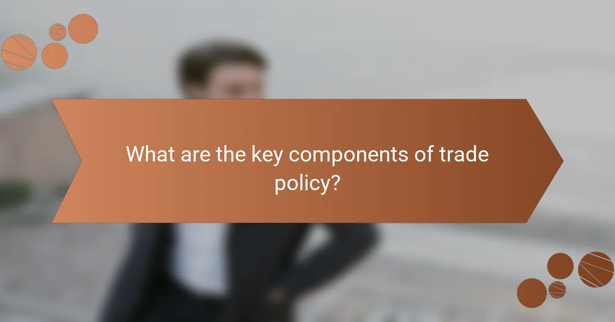 What are the key components of trade policy?