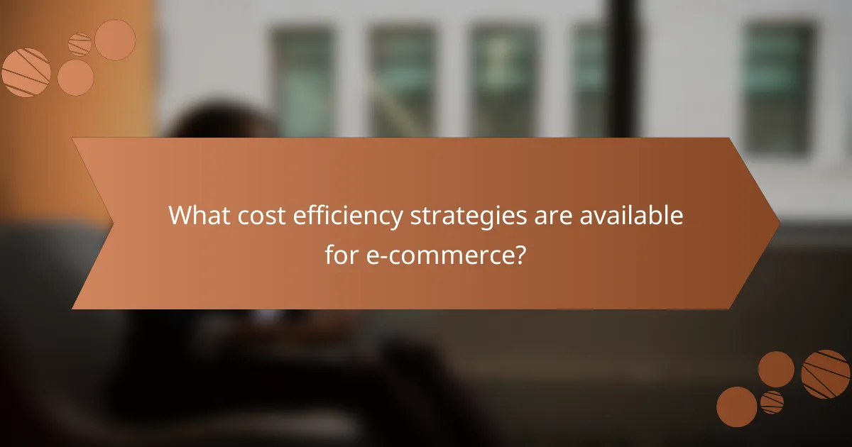 What cost efficiency strategies are available for e-commerce?