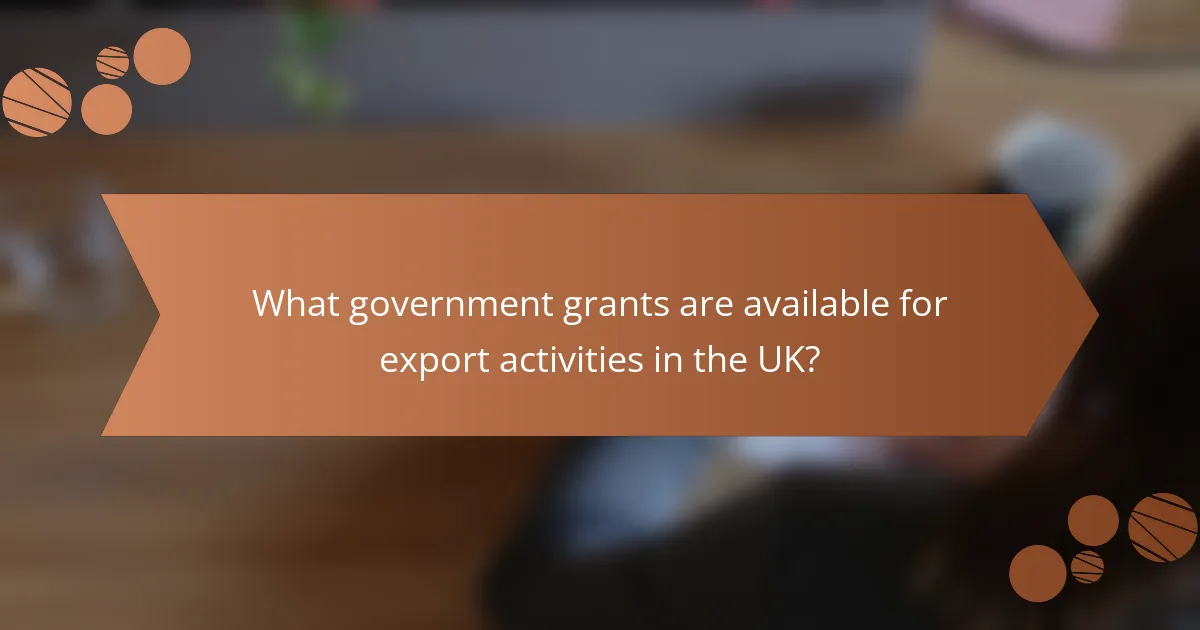 What government grants are available for export activities in the UK?